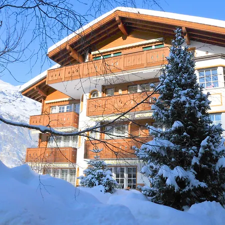 Haus Vira Apartment