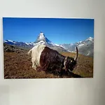 Lägenhet Haus Vira