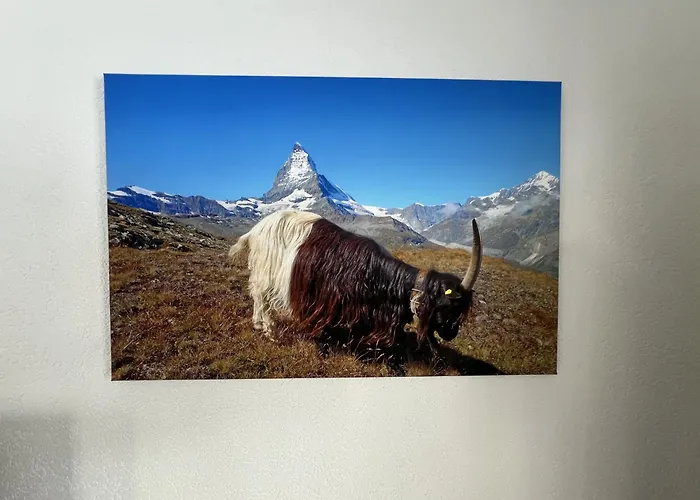 アパート Haus Vira