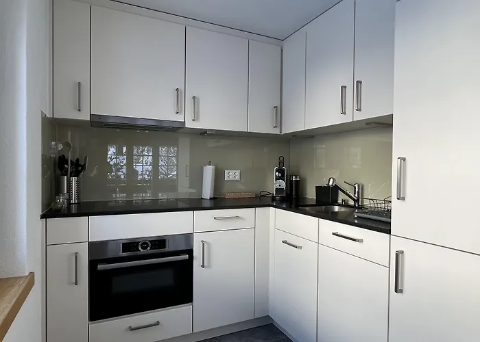 Haus Vira アパート ツェルマット